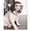 Costume Pet makeup pet dog wig set